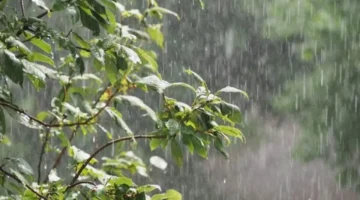 أمطار غزيرة.. تحذيرات من سيول تضرب مدنا عراقية مطلع شهر فبراير المقبل